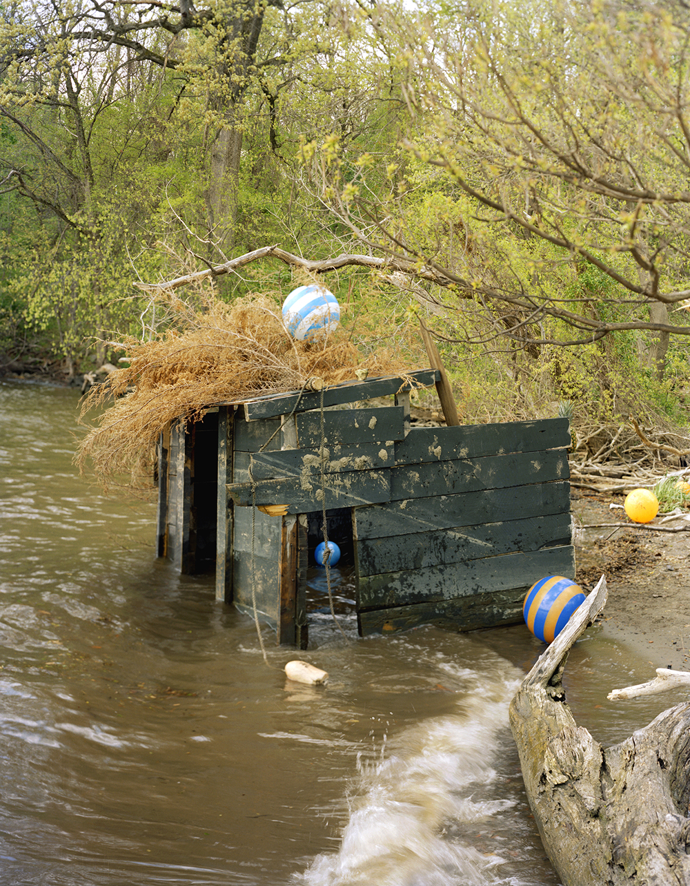 In the middle of a green flowing river is a black wooden shack that is worn down and flooded halfway. The thick branch of a yellowing tree has fallen on top of it. Sprinkled around the river and shack are several blue, yellow, and white beach balls in polka dots, stripes, and solid colors. One is on top of the shack. Another is inside it, floating on water. Two are resting on the shoreline. 