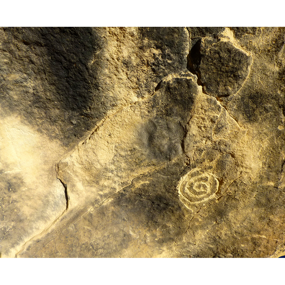 A canyon wall washed in yellow and white. There are several cracks that reveal the various textures of the rock. On the bottom right is a spiral pattern etched into the canyon wall.