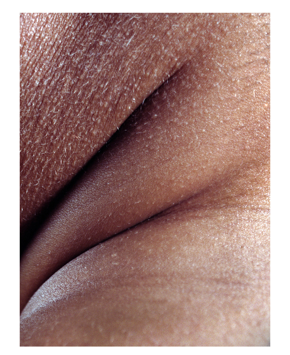 A photograph depicting a close up of the side of a Black woman’s body folded over itself, light hairs speckled over the top half. 