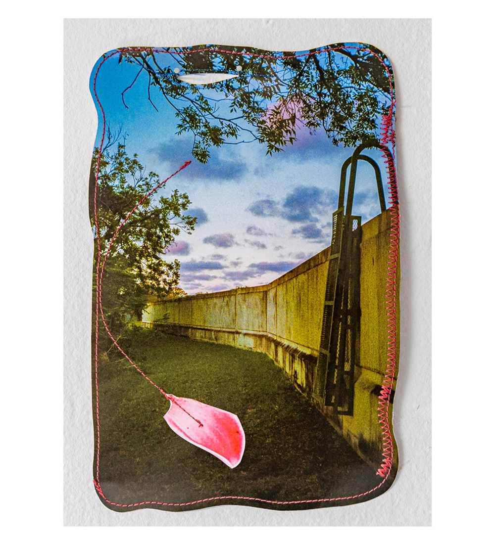 A photograph cut up unevenly along the edges and placed atop a piece of white paper. The photograph depicts the side of a wall, on which there is a ladder. There's a lawn and a tree in the foreground. In the background, the sky is blue and pink. The phtograph has pink thread along the edges.