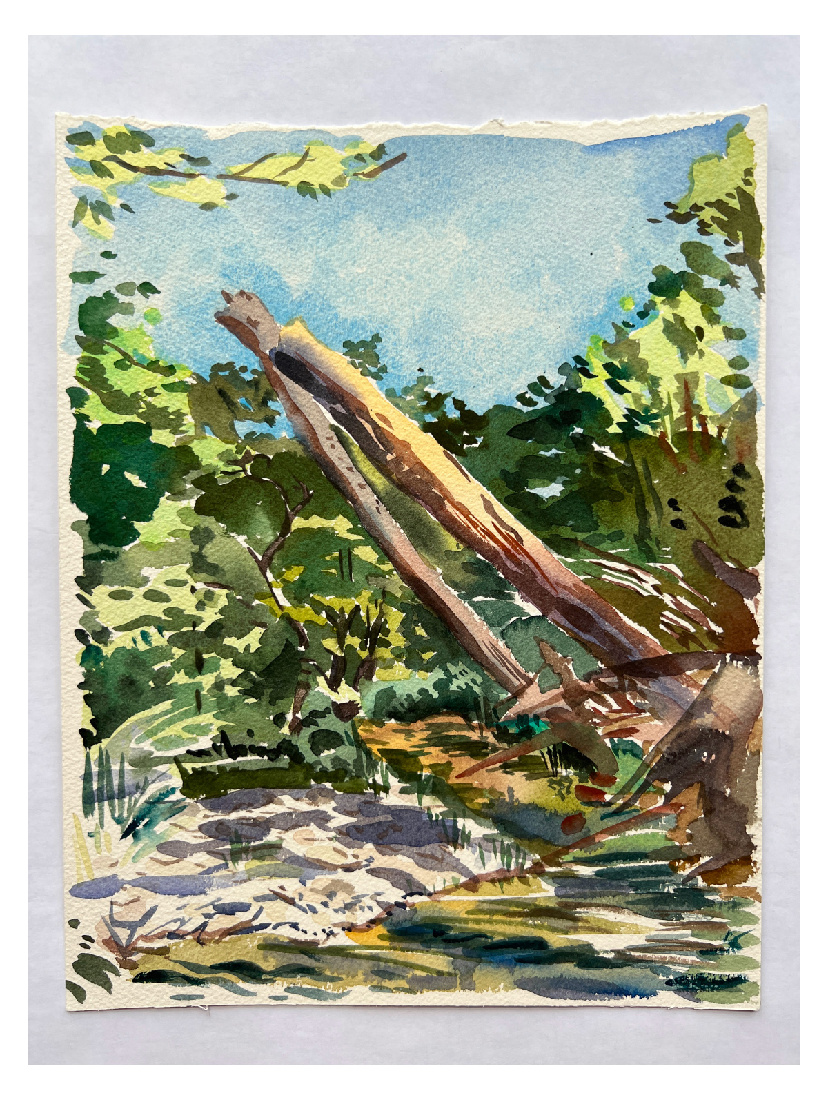 Watercolor painting on cream colored paper of two large brown logs next to a small body of water jut out of a green forest towards a blue sky.