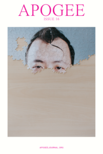 An image of man's face against a light blue background is shown on a puzzle, half-assembled on a wooden table.