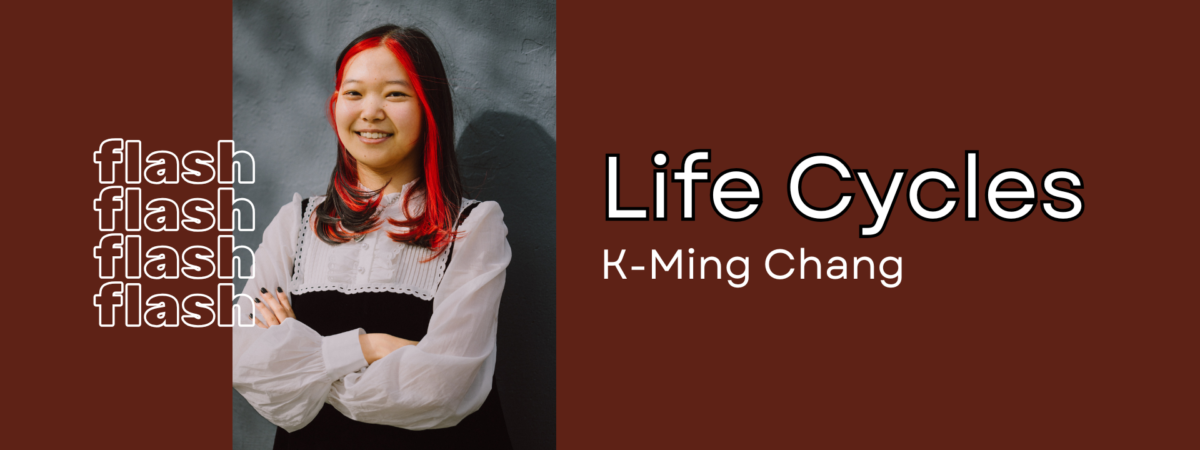 A banner with a picture of K-Ming Chang and the title of her Flash piece Life Cycles.